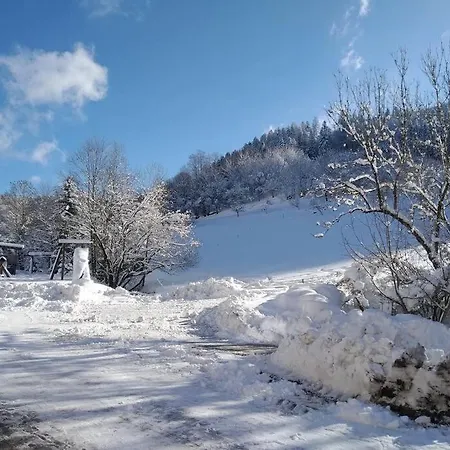 Panoramablick Daire *