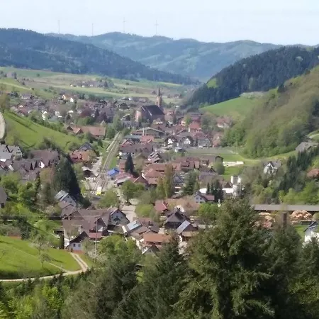 Panoramablick Daire Oberharmersbach