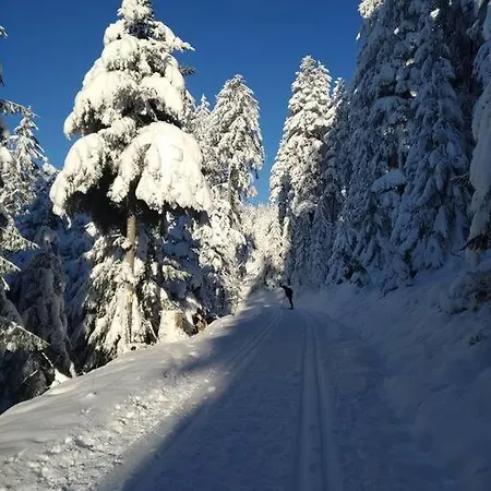 Panoramablick * אוברהרמרסבאך
