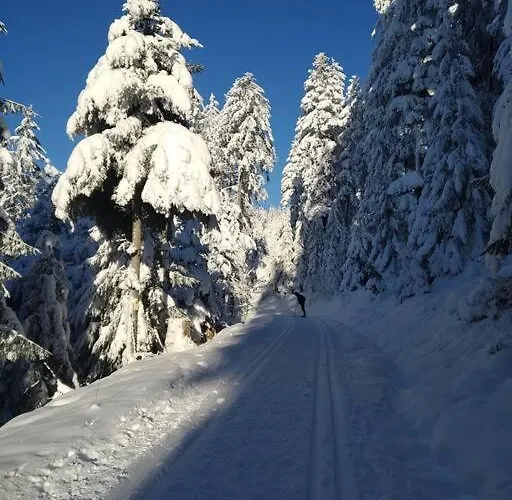 Panoramablick * Oberharmersbach